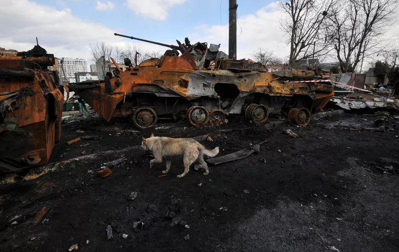 A dog walks past destroyed military equipment of the Russian army in the city of Bucha. After invading Ukraine on February 24th, Russian troops took up positions on the outskirts of the Ukrainian capital Kyiv. Facing fierce resistance, and after taking heavy losses, Russian forces have since withdrawn from a number of villages they occupied including Dmytrivka, in Bucha district. Burnt out Russian tanks and armored vehicles and civilian bodies strewn along streets and roads are testimony to ferocity of the battles in these areas.
Death on the road in Bucha, Ukraine - 04 Apr 2022,Image: 680324548, License: Rights-managed, Restrictions: , Model Release: no, Credit line: Profimedia
