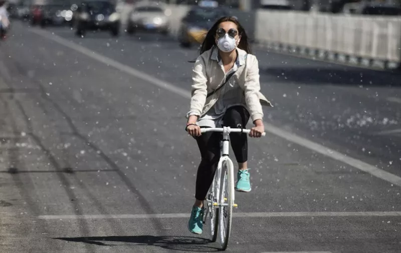 This photo taken on April 9, 2016 shows a cyclist making her way along a street filled with white pollen falling from catkin-bearing trees as the return of pleasant weather marks the arrival of the allergy season in Beijing. / AFP PHOTO / FRED DUFOUR