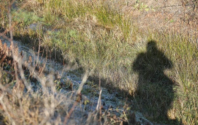 27.12.2018., Kupinec - Mjesto gdje je sedamnaestogodisnjak ubio vrsnjaka. 
Photo: Luka Stanzl/PIXSELL