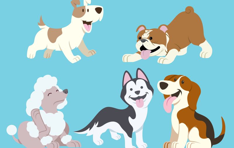 vector of dog cartoon set