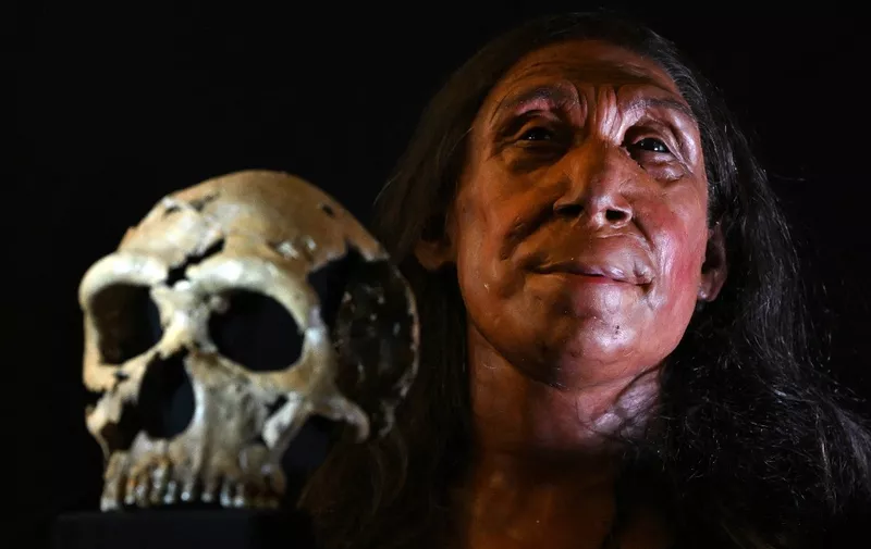 A picture shows the rebuilt skull and a physical reconstruction of the face and head, of a 75,000-year-old Neanderthal woman, named Shanidar Z, after the cave in Iraqi Kurdistan where her skull was found in 2018, at the University of Cambridge, eastern England, on April 25, 2024. A UK team of archaeologists on Thursday revealed the reconstructed face of a 75,000-year-old Neanderthal woman as researchers reappraise the perception of the species as brutish and unsophisticated. Emma Pomeroy, the Cambridge palaeo-anthropologist who uncovered Shanidar Z, said finding her skull and upper body had been both "exciting" and "terrifying". Named Shanidar Z after the cave in Iraqi Kurdistan where her skull was found in 2018, the latest discovery has led experts to probe the mystery of the forty-something Neanderthal woman laid to rest in a sleeping position beneath a huge vertical stone marker. (Photo by Justin TALLIS / AFP) / TO GO WITH AFP STORY by Helen ROWE