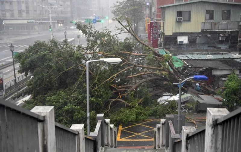 Damaged trees lie on the road as typhoon Soudelor hits Taipei on August 8, 2015.  Typhoon Soudelor battered Taiwan with fierce winds and rain leaving four people dead and a trail of debris in its wake as it takes aim at mainland China.  AFP PHOTO / Sam Yeh