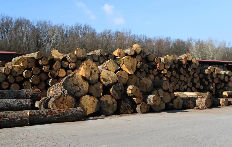 12.01.2022., Novska - Tvornica za preradu drva Ante Mijic – Quercus. Photo: Zeljko Lukunic/PIXSELL