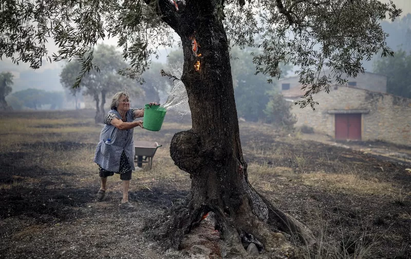 A resident uses a bucket of water to put out embers on olive trees in Moinhos Joao da Serra, in Ourem, on July 13, 2022. - The fire that has been raging since the end of last week in part of the Santarem district restarted, helped by the exceptionally high temperatures, after being temporarily contained on July 11. The Santarem region was expecting record temperatures of 46 degrees, the highest in the country. (Photo by PEDRO ROCHA / AFP)