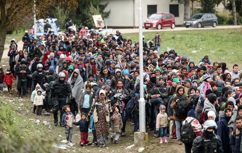 22.10.2015., Rigonce, Slovenija - Kolona izbjeglica pod jakim policijskim osiguranjem ide u izbjeglicki kamp u Dobovi. 
Photo: petar Glebov/PIXSELL