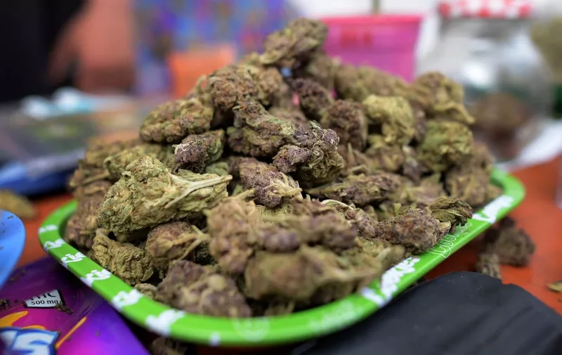 Marijuana for sale is seen during Cannabis at the park festival in Bogota, Colombia on October 7, 2023. (Photo by Daniel Munoz / AFP)