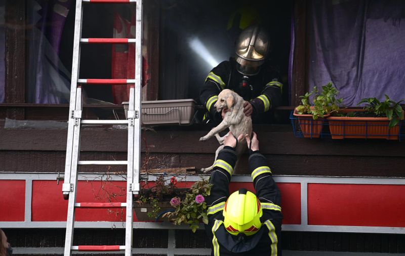 30.11.2021., Zagreb -  Akcija vatrogasaca zbog pozara na zgradi u zagrebackom kvartu Ferenscica. Iz pozara su spaseni baka i pas