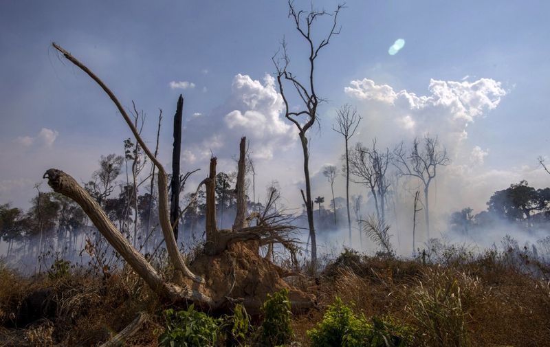 View of a burnt area after a fire in the Amazon rainforest near Novo Progresso, Para state, Brazil, on August 25, 2019 - Brazil on Sunday deployed two C-130 Hercules aircraft to douse fires devouring parts of the Amazon rainforest, as hundreds of new blazes were ignited and a growing global outcry over the blazes sparks protests and threatens a huge trade deal. (Photo by Joao Laet / AFP)