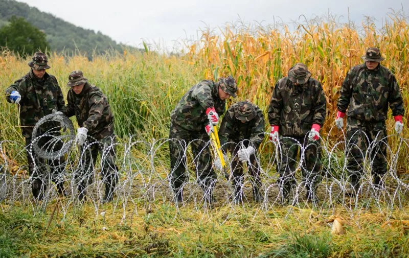 Hungarian soldiers are clearing up a barbwire fence on the Slovenian-Hungarian border in Pince, Slovenia on September 25, 2015. Hungarian police said a record 10,046 migrants arrived on September 23 from Croatia, and Budapest announced it would decide "soon" whether to also shut that border. It has already laid a razor-wire barrier along 40 kilometres (25 miles) of the frontier with Croatia not marked by the Drava river, and on September 24 Slovenia's foreign ministry said Hungary had also begun building a barrier on its border -- the first within the European Union's passport-free Schengen zone.  AFP PHOTO / Jure Makovec