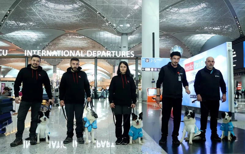 ISTANBUL, TURKIYE - MARCH 7: 5 specially trained therapy dogs start working at Istanbul Airport within the ''Therapy Dog Project'', which aims to provide a peaceful and enjoyable travel experience for passengers who experience flight-related stress in airplanes in Istanbul, Turkiye on March 7, 2024. Islam Yakut / Anadolu (Photo by Islam Yakut / ANADOLU / Anadolu via AFP)
