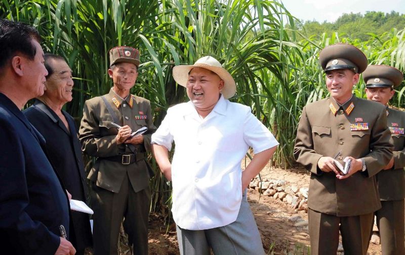 This undated picture released from North Korea's official Korean Central Newes Agency (KCNA) on August 13, 2015 shows North Korean leader Kim Jong-Un (C) inspecting the the farm No. 1116 under KoreanPeople's Army unit 810 at undisclosed place in North Korea.   AFP PHOTO / KCNA via KNS    REPUBLIC OF KOREA OUT
THIS PICTURE WAS MADE AVAILABLE BY A THIRD PARTY. AFP CAN NOT INDEPENDENTLY VERIFY THE AUTHENTICITY, LOCATION, DATE AND CONTENT OF THIS IMAGE. THIS PHOTO IS DISTRIBUTED EXACTLY AS RECEIVED BY AFP.
---EDITORS NOTE--- RESTRICTED TO EDITORIAL USE - MANDATORY CREDIT "AFP PHOTO / KCNA VIA KNS" - NO MARKETING NO ADVERTISING CAMPAIGNS - DISTRIBUTED AS A SERVICE TO CLIENTS / AFP PHOTO / KCNA / KNS