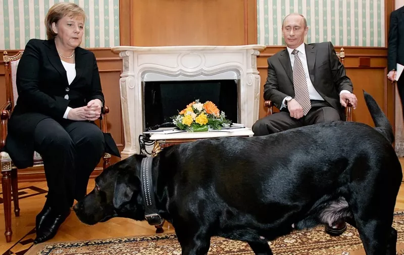 Russian President Vladimir Putin (R) and German Chancellor Angela Merkel are watched by Putin's dog Koni as they address journalists after their working meeting at the Bocharov Ruchei residence in Sochi, 21 January 2007. German Chancellor Angela Merkel arrived here for talks with President Vladimir Putin expected to focus on securing guarantees for energy supplies to the European Union, a Kremlin official said. AFP PHOTO / PRESIDENTIAL PRESS SERVICE / ITAR-TASS (Photo by DMITRY ASTAKHOV / ITAR-TASS / AFP)