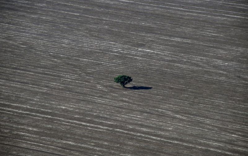 Aerial view taken on May 29, 2019 showing an agriculture field in Formosa do Rio Preto, western Bahia state. (Photo by NELSON ALMEIDA / AFP)