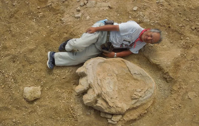 This handout picture taken on August 21, 2016 and released by Okayama University of Science and Mongolian academy of sciences joint expedition on September 30 shows Okayama University of Science Professor Shinobu Ishigaki lying next to a dinosaur footprint in Gobi Desert.
A Mongolia-Japan joint expedition has found four fossil footprints in a layer of earth that dates back 70-90 million years ago in Gobi Desert. / AFP PHOTO / Okayama University of Science an / HO