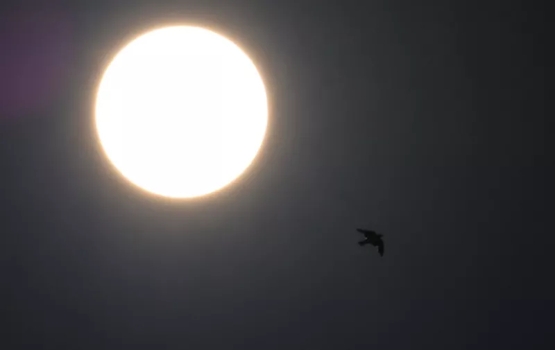 A bird flies next to the sun in Jakarta, on June 10, 2021, before a solar eclipse occures. (Photo by BAY ISMOYO / AFP)