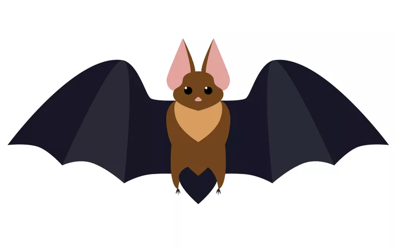 bat flat illustration isolated on white. halloween and mystic forest series