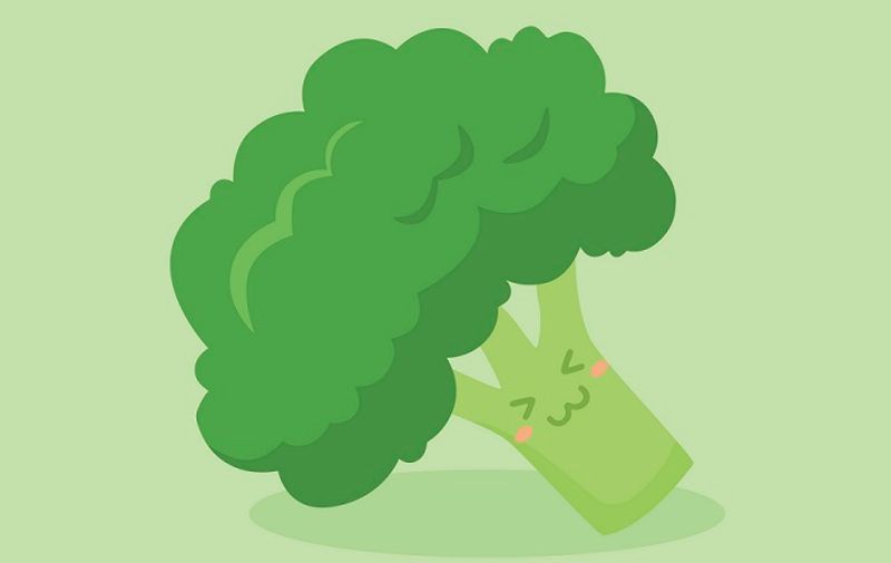 Vector illustration of cute Broccoli Vegetable mascot on green background.