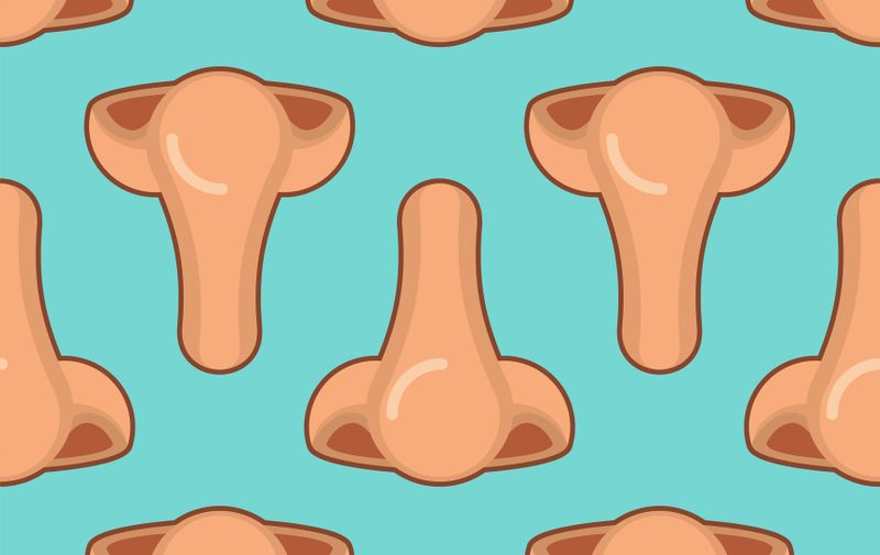 Human Nose pattern seamless. Noses background. vector illustration