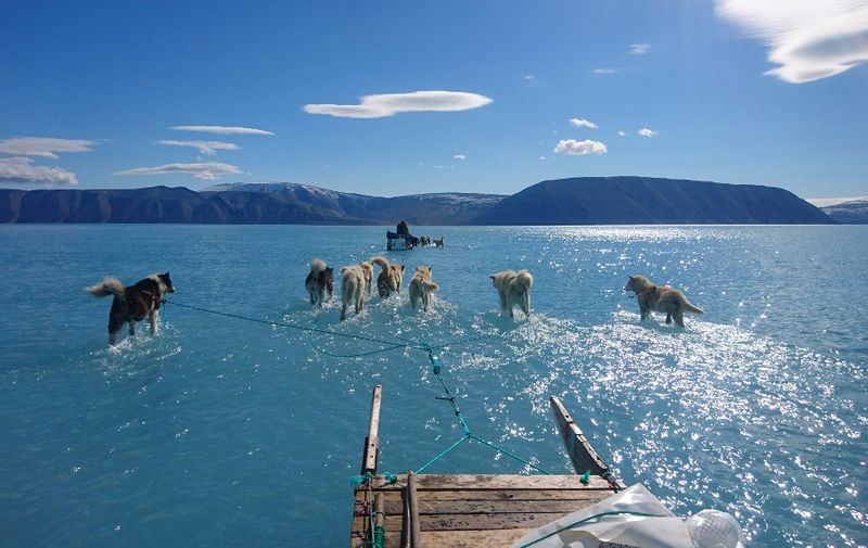 A June 13, 2019 hand out image photographed by Steffen Olsen of the Centre for Ocean and Ice at the Danish Meteoroligical Institute shows sled dogs wading through standing water on the sea ice during an expedition in North Western Greenland. - The ice in the area forms pretty reliably every winter and is very thick which means that there are relatively few fractures for meltwater to drain through. Last week saw the onset of very warm conditions in Greenland" wrote the Danish Meteorological Institue in a email and Olsen tweeted  that his team relied on traditional knowledge from local hunters and their dogs as they searched for dry spots on the ice. The team also used satellite images to plan their trip. He said the photos documented an unusual day and that the image was more symbolic than scientific to many. (Photo by Steffen Olsen / AFP) / RESTRICTED TO EDITORIAL USE - MANDATORY CREDIT "AFP PHOTO / Danish Meteorological Institute / Steffen Olsen" - NO MARKETING NO ADVERTISING CAMPAIGNS - DISTRIBUTED AS A SERVICE TO CLIENTS --- NO ARCHIVE --- / The erroneous mention[s] appearing in the metadata of this photo by Steffen Olsen has been modified in AFP systems in the following manner: [hand out image] instead of [image]. Please immediately remove the erroneous mention[s] from all your online services and delete it (them) from your servers. If you have been authorized by AFP to distribute it (them) to third parties, please ensure that the same actions are carried out by them. Failure to promptly comply with these instructions will entail liability on your part for any continued or post notification usage. Therefore we thank you very much for all your attention and prompt action. We are sorry for the inconvenience this notification may cause and remain at your disposal for any further information you may require.