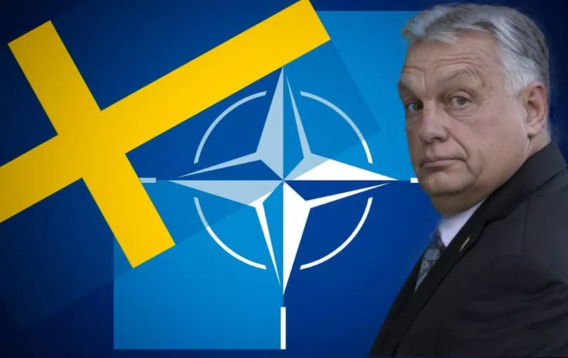 The NATO - OTAN logo is being displayed on a screen with the flag of Sweden in this photo illustration in Brussels, Belgium, on January 28, 2024. (Photo illustration by Jonathan Raa/NurPhoto) (Photo by Jonathan Raa / NurPhoto / NurPhoto via AFP)