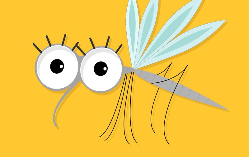 Mosquito. Cute cartoon funny character. Insect collection. Baby illustration. Yellow background. Flat design Vector