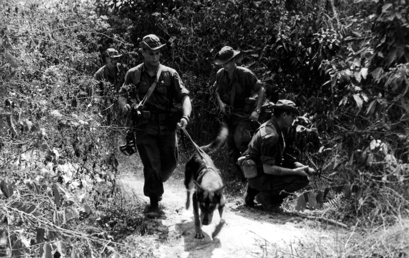 Vijetnamski rat, Vojni psi