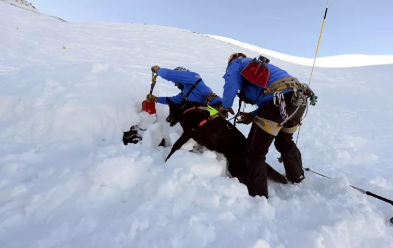 An avalanche dog and trainees take part in a mock avalanche drill, on December 11, 2013 near Les Deux Alpes ski resort, French Alps. AFP PHOTO / JEAN-PIERRE CLATOT / AFP / JEAN-PIERRE CLATOT