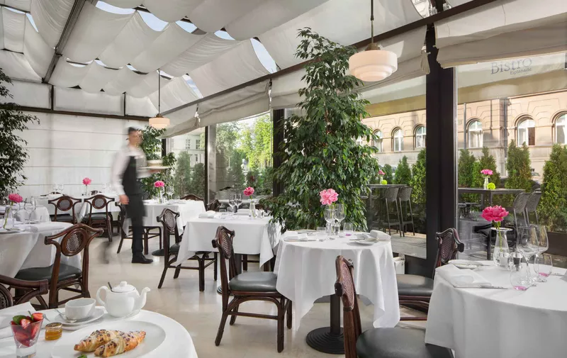 Restorani Zagreb centar: Top 20 najboljih od luksuznih do bistroa | Super1.hr