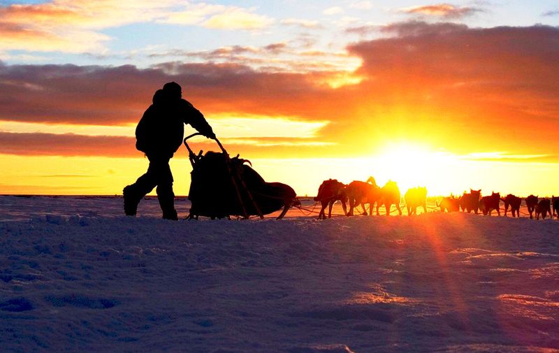 USA Alaska Unalakleet 2005 champion Robert Sorlei races dog team toward Bering Sea coast during 2005 Iditarod sled dog race at sunset on winter day, Image: 12216748, License: Rights-managed, Restrictions: , Model Release: no, Credit line: Profimedia, Alamy