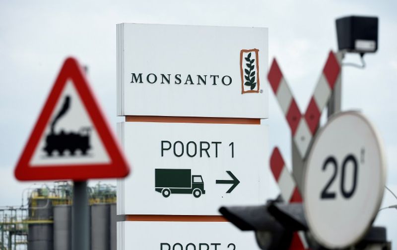 A picture taken on May 24, 2016 in Lillo near Antwerp shows the Monsanto logo at the firm Manufacturing Site and Operations Center.  
German chemicals and pharmaceuticals giant Bayer, a household name thanks to its painkiller Aspirin, said this week that it is offering $122 per share in cash for Monsanto, or $62 billion (55 billion euros) in all. It would be the biggest takeover by a German group of a foreign company and would create a new world leader in seeds, pesticides and genetically modified (GM) crops.
 / AFP PHOTO / JOHN THYS