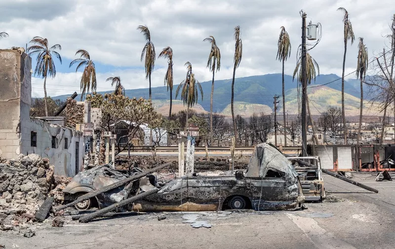 Burned palm trees and destroyed cars and buildings in the aftermath of a wildfire in Lahaina, western Maui, Hawaii on August 11, 2023. The death toll in Hawaii's wildfires rose to 99 and could double over the next 10 days, the state's governor said August 14, as emergency personnel painstakingly scoured the incinerated landscape for more human remains. Last week's inferno on the island of Maui is already the deadliest US wildfire in a century, with only a quarter of the ruins of the devastated town of Lahaina searched for victims so far. (Photo by Moses SLOVATIZKI / AFP)