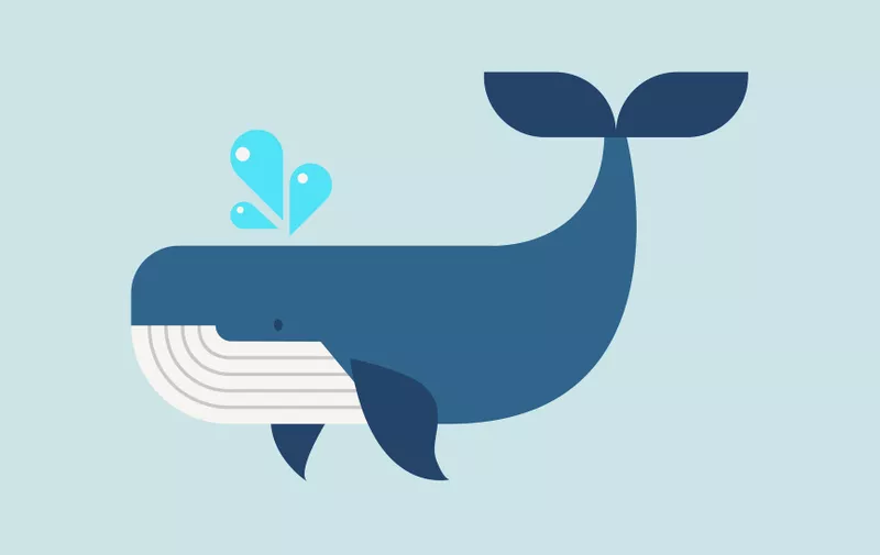 Whale in flat style. Vector illustration