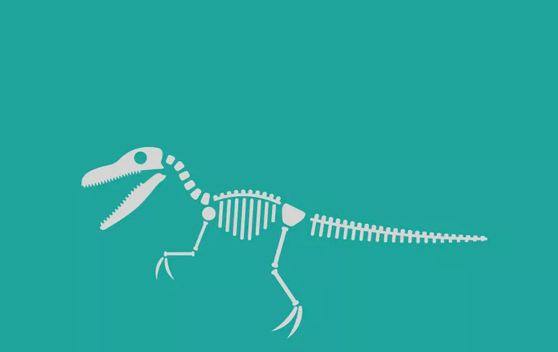 Dinosaur skeleton. velociraptor. Vector Image velociraptor skeleton isolated on green background.Can be used as logo. For flat illustrations