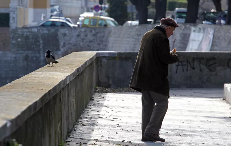 19.12.2012., Zadar - Umirovljenik ni ne sluti da ga netko budno prati dok u miru jede svoj dorucak. rPhoto: Zeljko Mrsic/PIXSELL