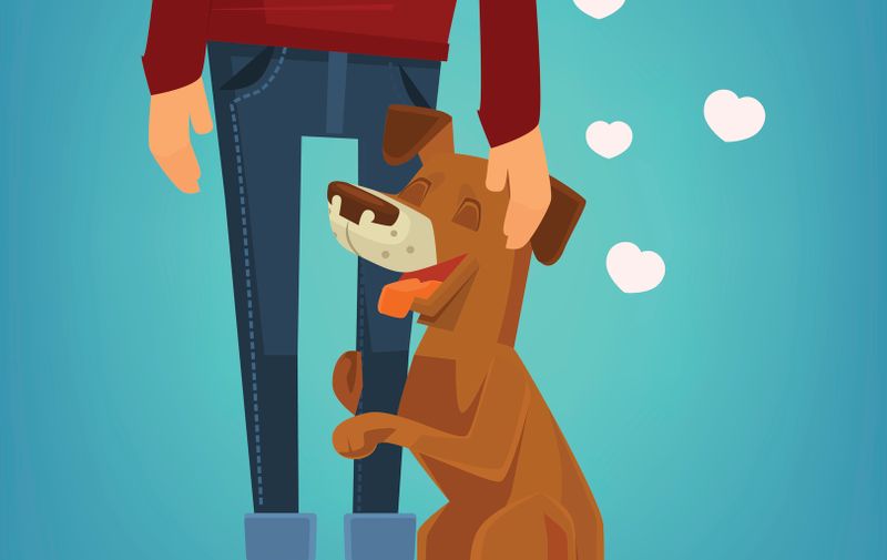 Cute dog character hug his owner. Vector flat cartoon illustration