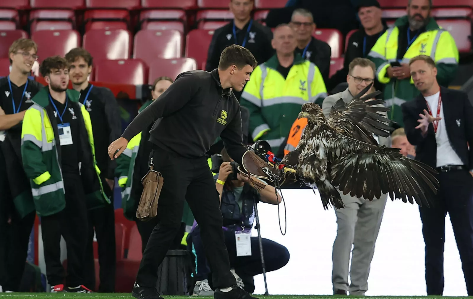 Orao zabavlja navijače Crystal Palacea, ali sada traže zabranu njegova pojavljivanja na stadionu