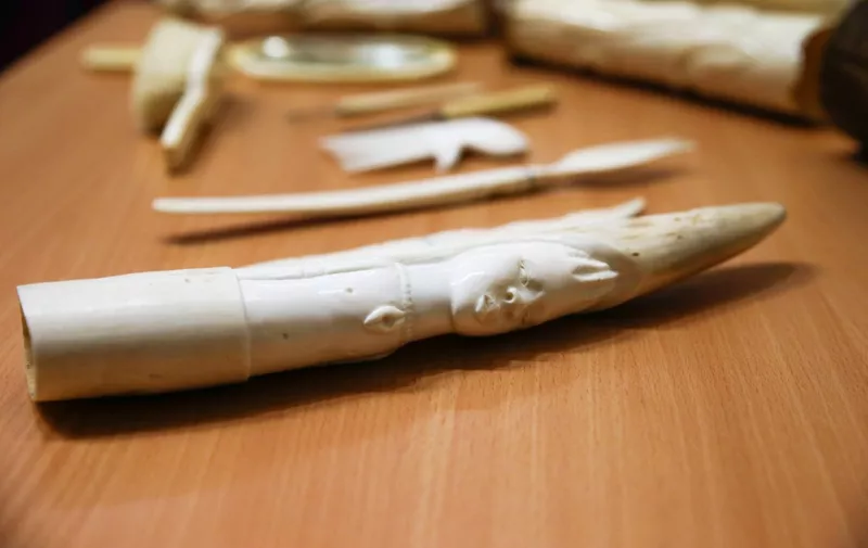 Artefacts made of ivory and collected by the Belgian Health Ministry in the context of the 'Sors tes dents!' (Show your teeth) awareness campaign on the illegal ivory trade are displayed at the ministry in Brussels on July 4, 2018. - The campaign targets citizens who possess ivory objects and who do not know what to do with them. It gives them the possibility to get rid of those objects. It also targets the purchase of holiday souvenirs made from endangered animals and plants. (Photo by Aris Oikonomou / AFP)