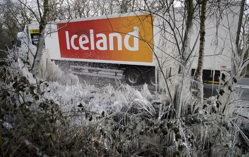 An Iceland supermarket lorry passes a section of icicles and ice-covered hedgerow caused by a water splashed from the roadside near Hazeley Bottom, south of Reading, on March 27, 2013. Britain is in the grip of what the media has dubbed "Miserable March", an unseasonal cold snap that threatens to bring the UK a White Easter. AFP PHOTO / ADRIAN DENNIS / AFP PHOTO / ADRIAN DENNIS