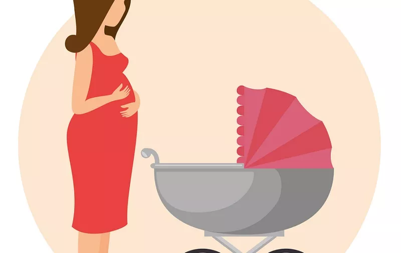 pregnancy newborn baby icon vector illustration graphic design