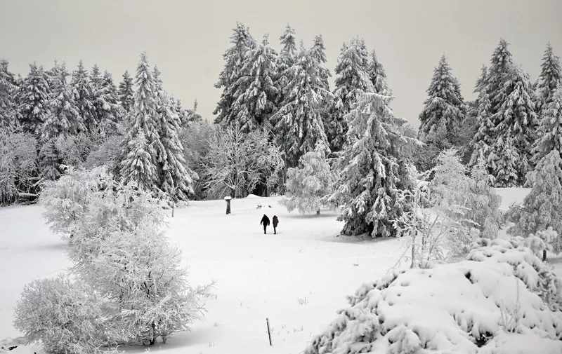 A couple walk past snow-covered trees at the Kahler Asten mountain near Winterberg, western Germany on December 1, 2023. (Photo by Ina FASSBENDER / AFP)