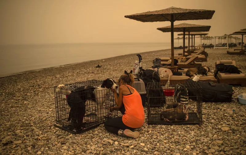 A woman takes care of an injured dog on a beach during a wildfire in the village of Pefki on Evia (Euboea) island, on August 9, 2021. Firefighters tried on August 9, 2021 to prevent fires from reaching key communities and a thick forest that could fuel an inferno that one official said has destroyed hundreds of homes in seven days on the Greek island of Evia. If most of nearly two weeks of fires had stabilised or receded in other parts of Greece, the ones on rugged and forested Evia were the most worrying and created apocalyptic scenes. (Photo by Angelos Tzortzinis / AFP)