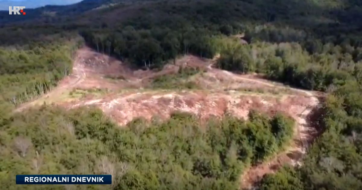 Šuma na Ćićariji nestajala pred očima mještana. Inspektorat tek nakon dva mjeseca prekinuo sječu