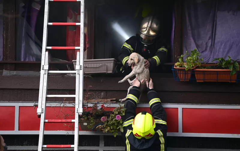 30.11.2021., Zagreb -  Akcija vatrogasaca zbog pozara na zgradi u zagrebackom kvartu Ferenscica. Iz pozara su spaseni baka i pas