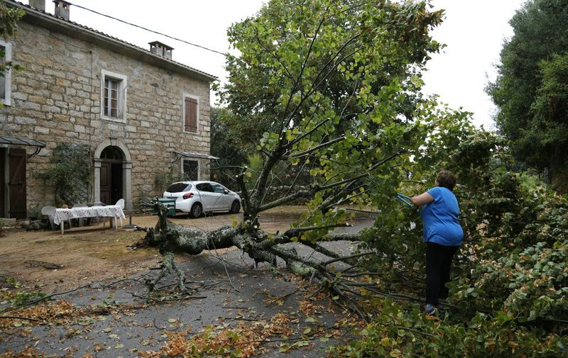 A woman starts to cut a tree who felt down in Marato, close to Cognocoli Monticchi after strong winds on the French Mediterranean island of Corsica on August 18, 2022. - The violent storms that have been hitting the French Mediterranean since August 16, 2022 left three people dead and several injured on August 28, 2022 in Corsica, where rescue operations are also being carried out at sea. (Photo by PASCAL POCHARD-CASABIANCA / AFP)