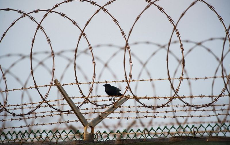 A bird pauses along the barb wire fence surrounding Camp Delta at Guantanamo Bay, Cuba, on March 30, 2010.   AFP Photo/Paul J. Richards