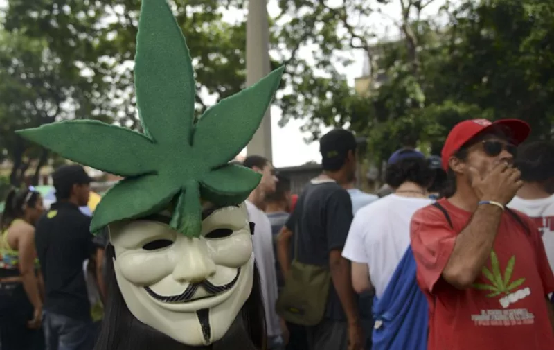A person wears a Guy Fawkes mask during a demo for the legalization of marihuana, in Medellin, Antioquia department, Colombia on May 2, 2015. The demo is against drug trafficking and for the self-cultivation for medicinal and recreational purposes.  AFP PHOTO/Raul ARBOLEDA / AFP PHOTO / RAUL ARBOLEDA