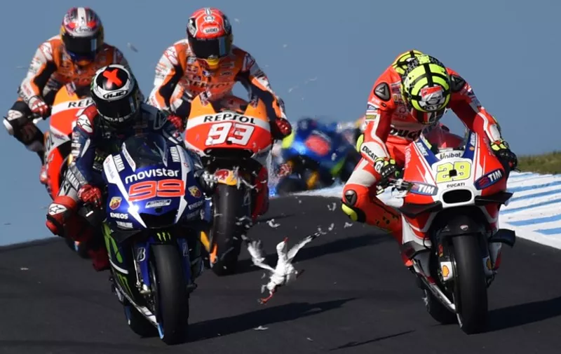 TOPSHOTS
A seagull flies in front of Repsol Honda rider Marc Marquez (C) and Movitar Yamaha rider Jorge Lorenzo of Spain after smashing into Ducati rider Andrea Iannone of Italy on the opening lap of the MotoGP Australian Grand Prix at Phillip Island on October 18, 2015.  IMAGE STRICTLY RESTRICTED TO EDITORIAL USE - STRICTLY NO COMMERCIAL USE   AFP PHOTO/Paul Crock