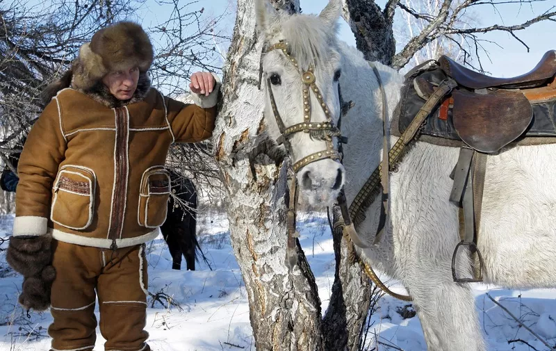 A picture released on March 6, 2010 shows Russian Prime Minister Vladimir Putin looking at a horse in the Karatash area, near the town of Abakan, during his working trip to Khakassia, on February 25, 2010.   AFP PHOTO - RIA-NOVOSTI / Alexey DRUZHININ (Photo by Alexey DRUZHININ / RIA NOVOSTI / AFP)