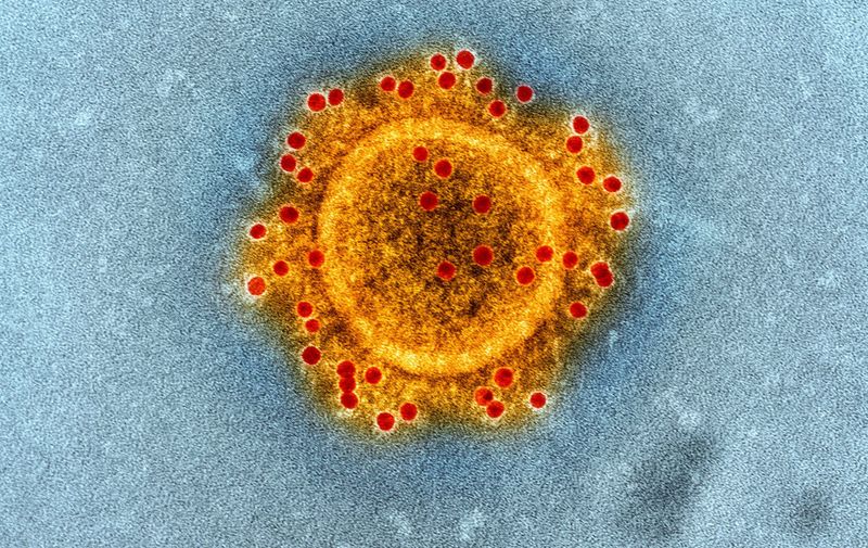 Partícula de Coronavirus, virus