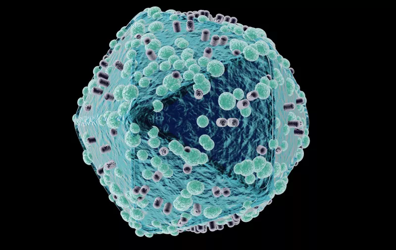 A spinning HIV Virus on a black background., Image: 298535266, License: Royalty-free, Restrictions: , Model Release: no, Credit line: Profimedia, Alamy